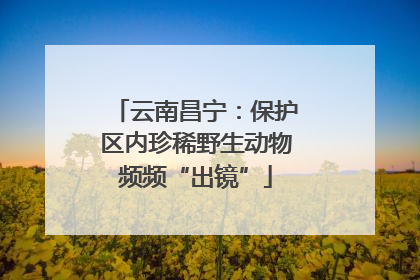 云南昌宁：保护区内珍稀野生动物频频“出镜”