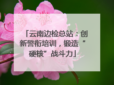 云南边检总站：创新警衔培训，锻造“硬核”战斗力