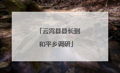 云霄县县长到和平乡调研