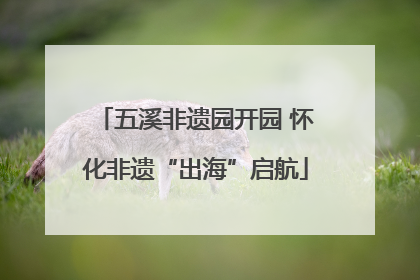 五溪非遗园开园 怀化非遗“出海”启航