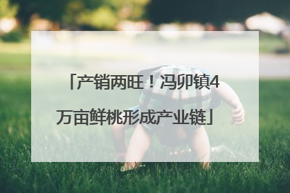 产销两旺！冯卯镇4万亩鲜桃形成产业链