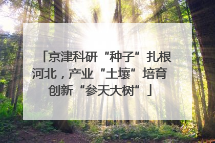 京津科研“种子”扎根河北，产业“土壤”培育创新“参天大树”