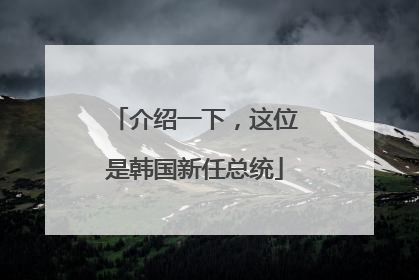 介绍一下，这位是韩国新任总统