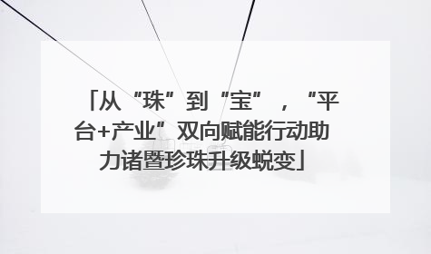 从“珠”到“宝”，“平台+产业”双向赋能行动助力诸暨珍珠升级蜕变