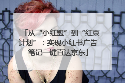 从“小红盟”到“红京计划”：实现小红书广告笔记一键直达京东