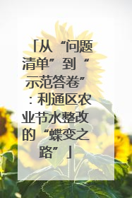 从“问题清单”到“示范答卷”：利通区农业节水整改的“蝶变之路”