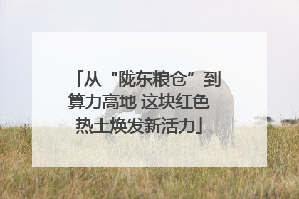 从“陇东粮仓”到算力高地 这块红色热土焕发新活力