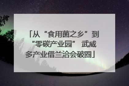 从“食用菌之乡”到“零碳产业园” 武威多产业借兰洽会破圈