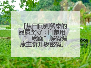 从田间到餐桌的品质坚守：白象用“一碗面”解码健康主食升级密码