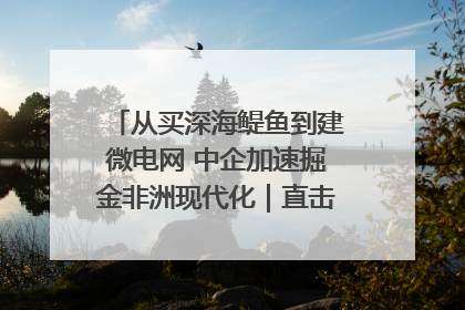 从买深海鳀鱼到建微电网 中企加速掘金非洲现代化｜直击中非经贸博览会