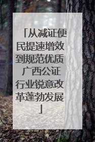 从减证便民提速增效到规范优质 广西公证行业锐意改革蓬勃发展