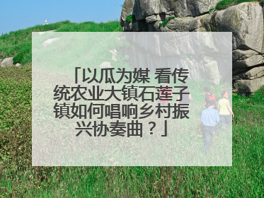 以瓜为媒 看传统农业大镇石莲子镇如何唱响乡村振兴协奏曲？