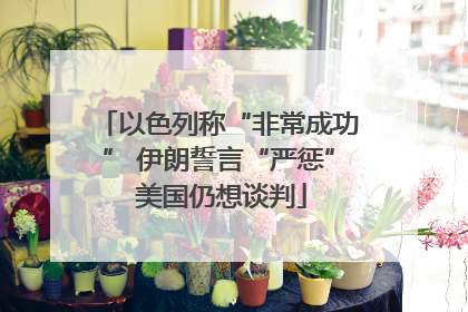 以色列称“非常成功” 伊朗誓言“严惩” 美国仍想谈判