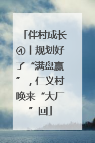 伴村成长④丨规划好了“满盘赢”，仁义村唤来“大厂”回