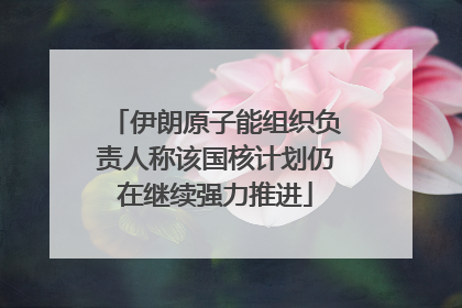 伊朗原子能组织负责人称该国核计划仍在继续强力推进