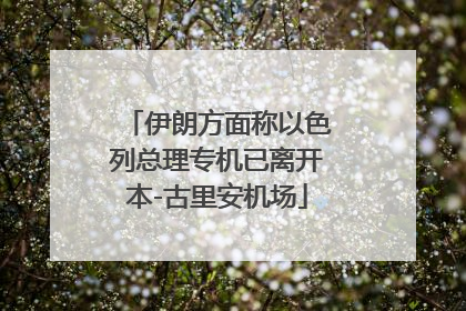 伊朗方面称以色列总理专机已离开本-古里安机场
