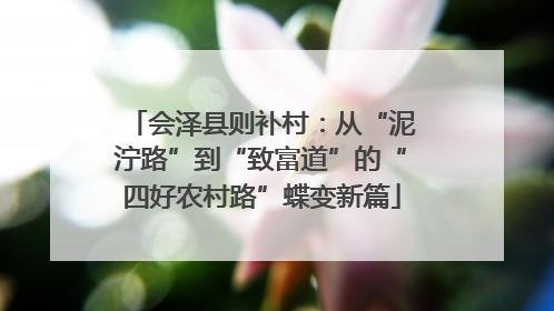 会泽县则补村：从“泥泞路”到“致富道”的“四好农村路”蝶变新篇