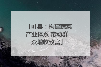 叶县：构建蔬菜产业体系 带动群众增收致富