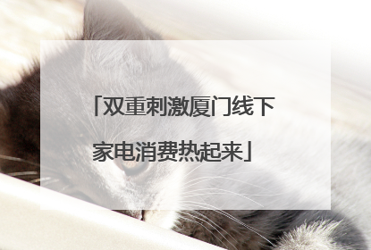 双重刺激厦门线下家电消费热起来