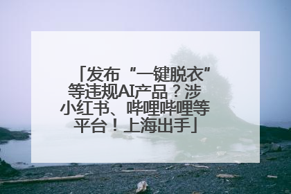发布“一键脱衣”等违规AI产品？涉小红书、哔哩哔哩等平台！上海出手