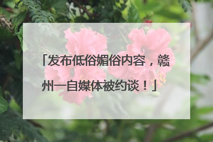 发布低俗媚俗内容，赣州一自媒体被约谈！