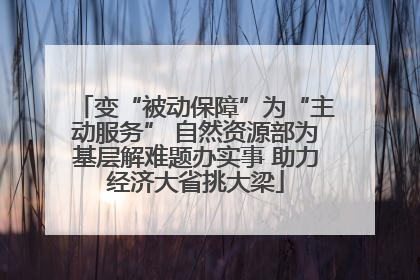 变“被动保障”为“主动服务” 自然资源部为基层解难题办实事 助力经济大省挑大梁