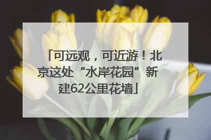 可远观，可近游！北京这处“水岸花园”新建62公里花墙