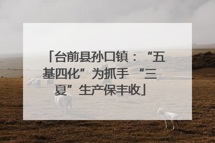 台前县孙口镇：“五基四化”为抓手 “三夏”生产保丰收