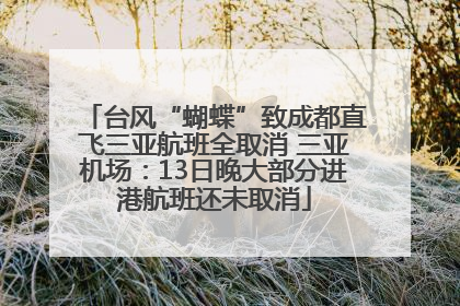 台风“蝴蝶”致成都直飞三亚航班全取消 三亚机场：13日晚大部分进港航班还未取消