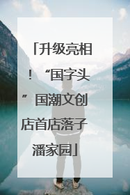 升级亮相！“国字头”国潮文创店首店落子潘家园