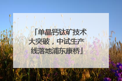 单晶钙钛矿技术大突破，中试生产线落地浦东康桥