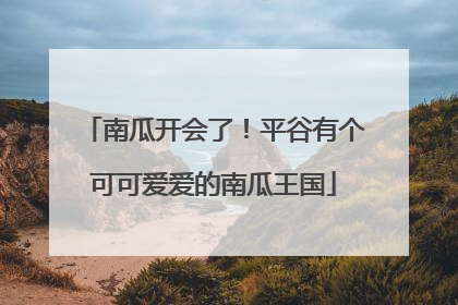 南瓜开会了！平谷有个可可爱爱的南瓜王国