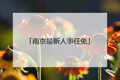 南京最新人事任免