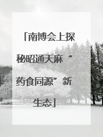 南博会上探秘昭通天麻“药食同源”新生态