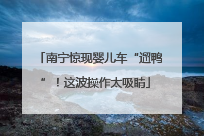 南宁惊现婴儿车“遛鸭”！这波操作太吸睛