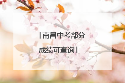 南昌中考部分成绩可查询