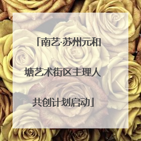 南艺·苏州元和塘艺术街区主理人共创计划启动