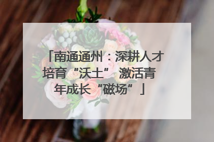 南通通州：深耕人才培育“沃土” 激活青年成长“磁场”