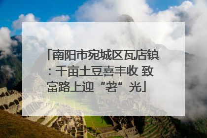 南阳市宛城区瓦店镇：千亩土豆喜丰收 致富路上迎“薯”光