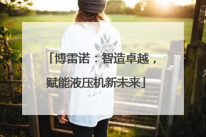 博雷诺：智造卓越，赋能液压机新未来