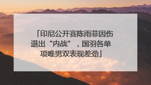 印尼公开赛陈雨菲因伤退出“内战”，国羽各单项唯男双表现差劲