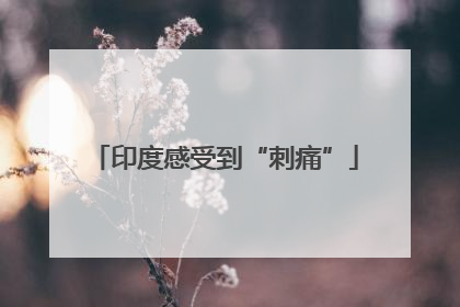 印度感受到“刺痛”