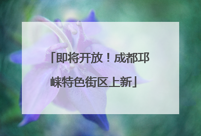 即将开放！成都邛崃特色街区上新