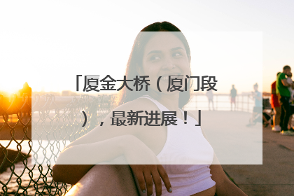 厦金大桥（厦门段），最新进展！