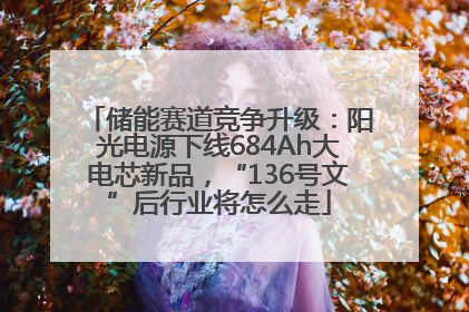 储能赛道竞争升级：阳光电源下线684Ah大电芯新品，“136号文”后行业将怎么走