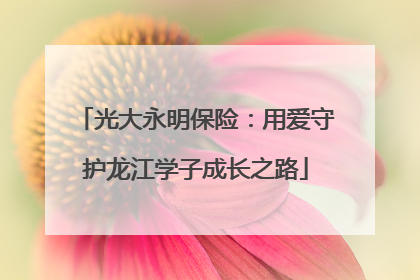 光大永明保险：用爱守护龙江学子成长之路