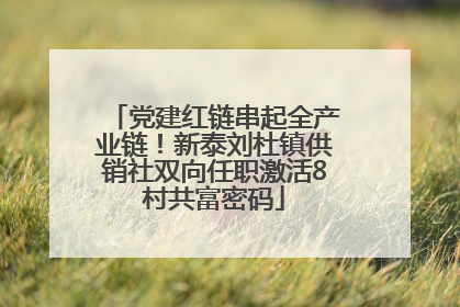 党建红链串起全产业链！新泰刘杜镇供销社双向任职激活8村共富密码