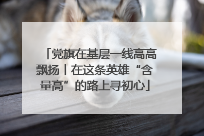 党旗在基层一线高高飘扬丨在这条英雄“含量高”的路上寻初心