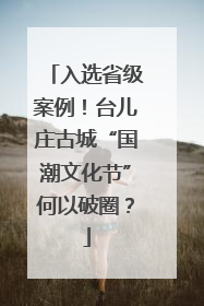 入选省级案例！台儿庄古城“国潮文化节”何以破圈？