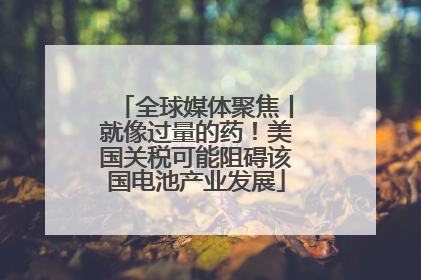 全球媒体聚焦丨就像过量的药！美国关税可能阻碍该国电池产业发展
